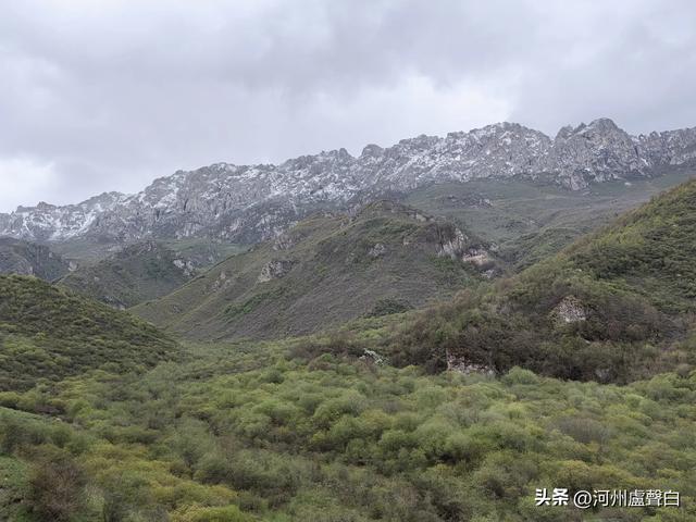 渭源双石门*石门雪山的杜鹃花
