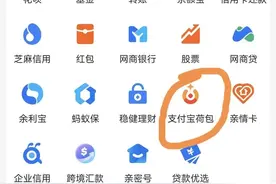 支付宝里面的小荷包是干什么用的，为你详细解读图片