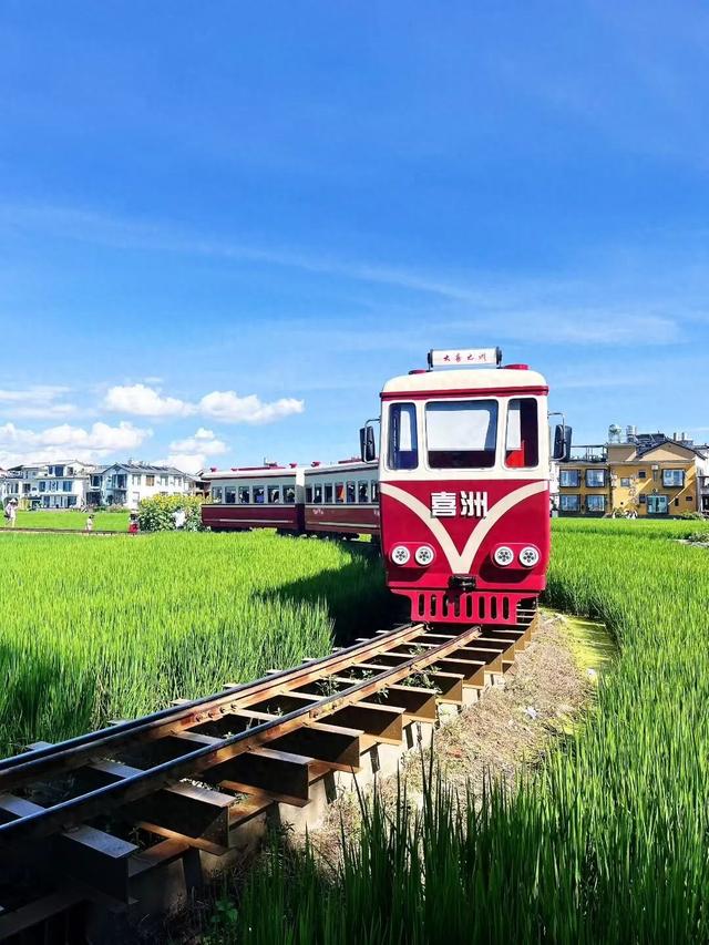 去大理，坐上那趟心爱的小火车