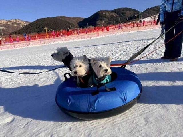 北京平谷冰雪季开幕 多举措激活“冷资源”