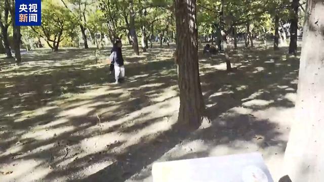 让文明为自然留住美景 别让“捡秋”变“伤秋”