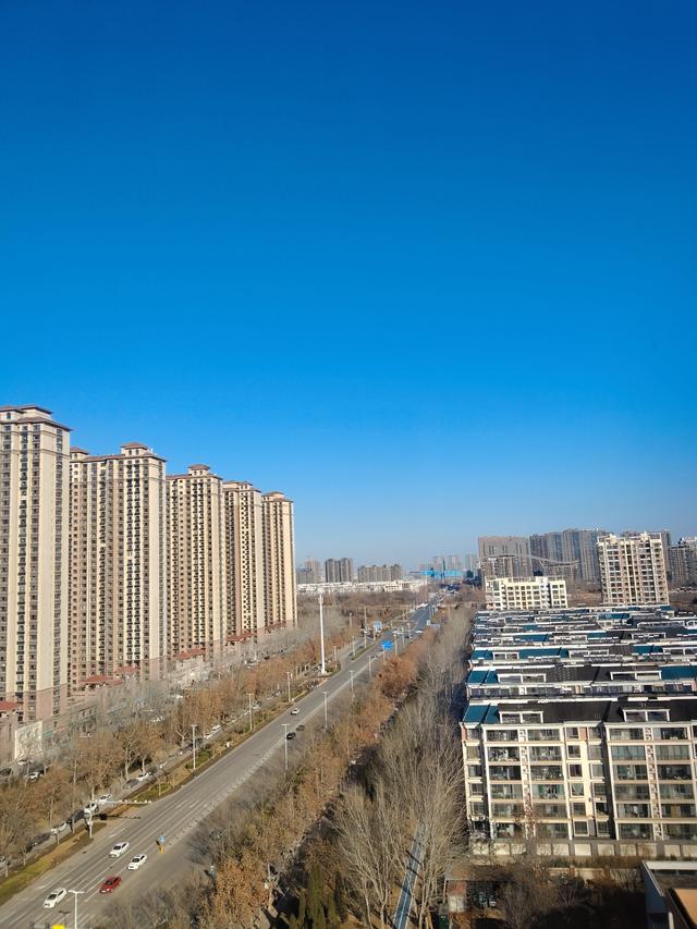 小样！还想骗我？