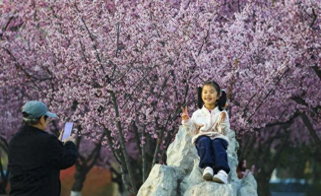 门票再便宜也没用！文旅行业已变天：游客现在只为一个字买单
