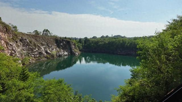 【光芒·追访自然的主角】聆听八桂大地的生态和鸣曲