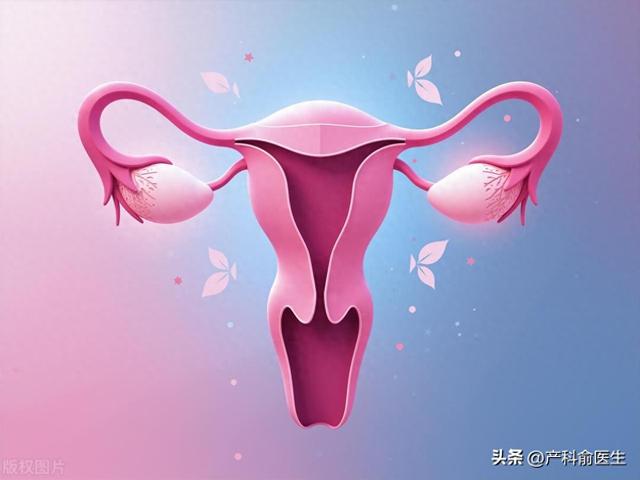 女性卵巢在哪（女人的卵巢长什么样子一篇让你秒懂的科普）