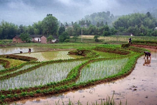 你还知道看到什么现象就知道天要下雨了吗？（今年还要旱多久）