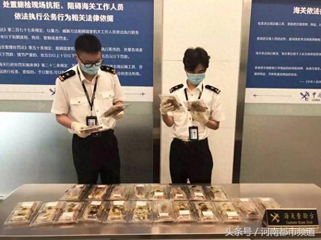 澳门买花胶能带回内地吗 2026年澳门买花胶能带回内地吗要隔离吗 澳门买花胶能带回内地吗 2026年澳门买花胶能带回内地吗要隔离吗