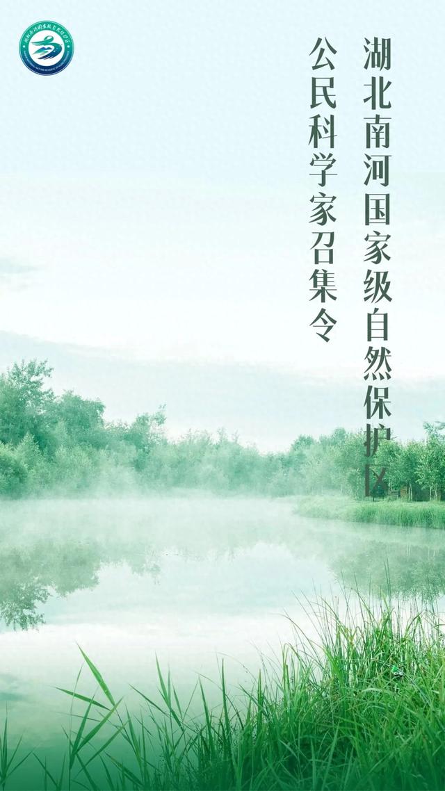 志愿者招募｜2025年湖北南河国家级自然保护区公民科学家招募令
