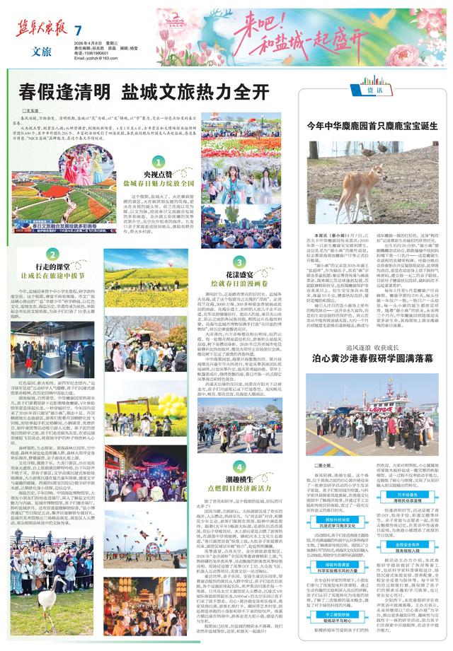 春假逢清明 盐城文旅热力全开