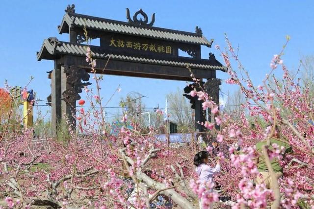 4月25日！一〇四团“大话西游万亩桃园”赏花季浪漫启幕！