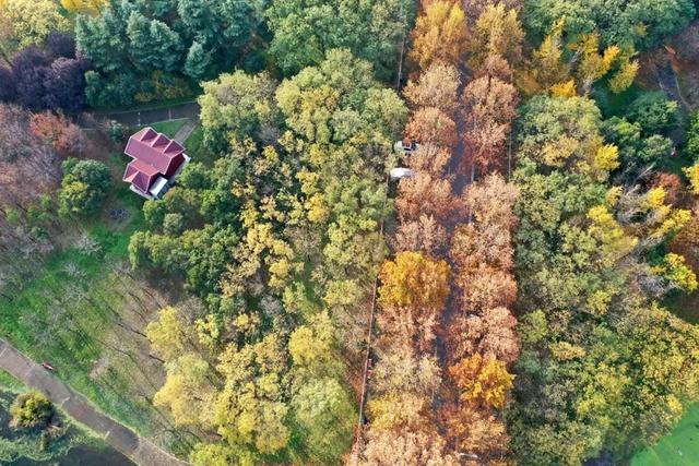 无需滤镜的温县,是这样的→