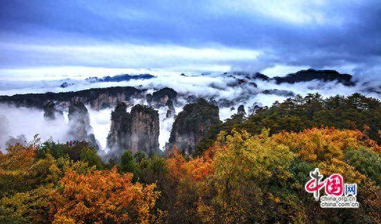 张家界武陵源：层林尽染秋意酣 赴约赏景正当时