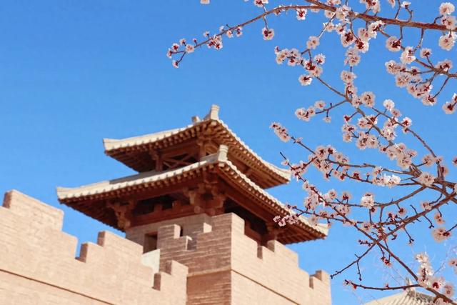 清明踏春|阳关沉浸式通关指南