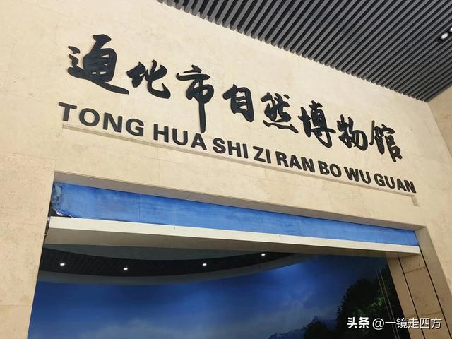 通化市自然博物馆里的漂亮矿石