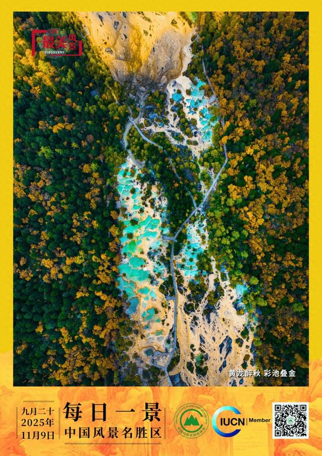 每日一景 | 黄龙醉秋 彩池叠金