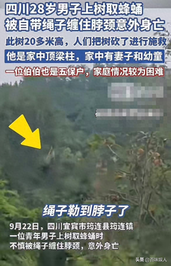 男子取蜂蛹被绳子缠脖身亡，目击者发声曝细节：树上卡了3个小时