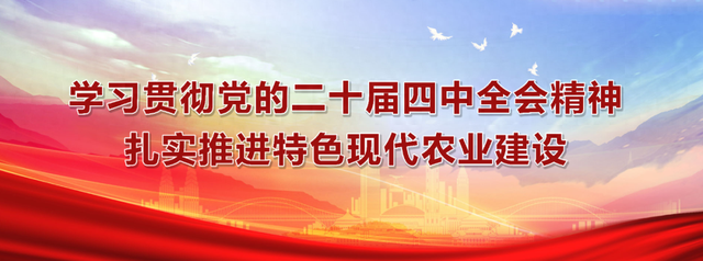 茶山深处的“诗与远方”！镇巴楮溪源茶公园的“美丽经济学”