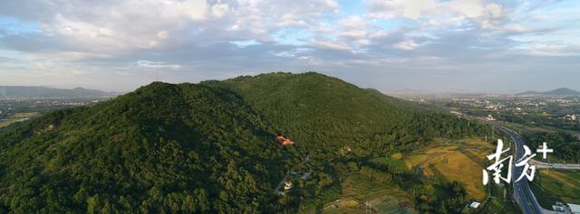 夏日避暑上庄山｜茂名滨海漫游图鉴