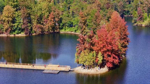 如画上犹，“枫”景独好！