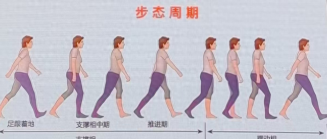 走路或跑步锻炼后髋、膝、踝疼痛，为什么？