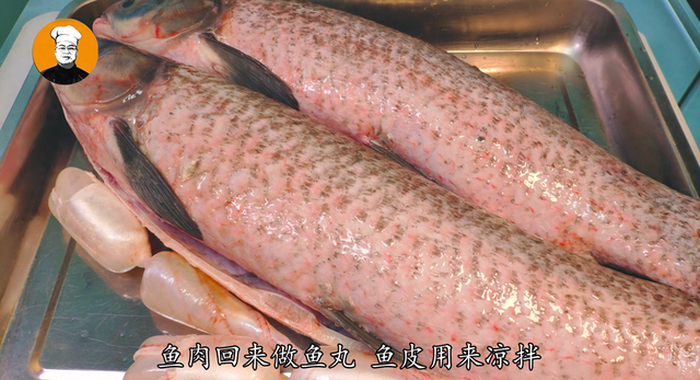 干鱼皮如何泡 2026年干鱼皮怎么泡 干鱼皮如何泡 2026年干鱼皮怎么泡