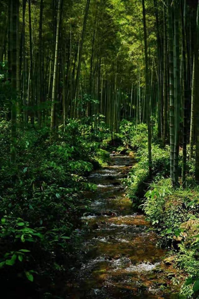 谁能想到？默默无闻的富阳，竟成了向往的慢生活！