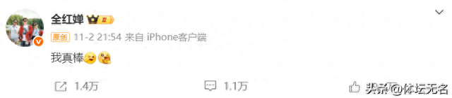 11月6日全红婵收官战，预赛不敌陈芋汐组合！晚间决战，CCTV5直播