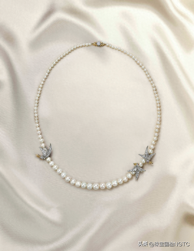 优化珍珠项链（解锁珍珠之惑珍珠的优化及处理选购及保养）