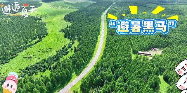 河北围场：尽享21度的夏日“奇冀”
