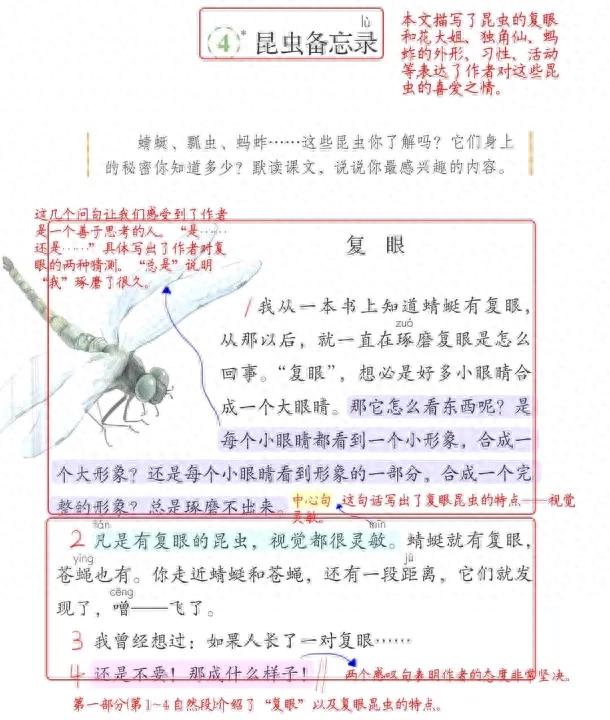 蚱怎么组词语（人教版）
