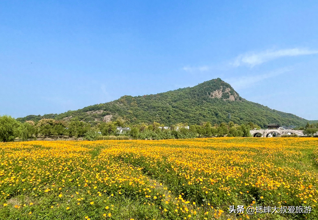 爱花小伙伴们：杭州湘湖花海盛放期来临，来免费嗅浪漫花香吧！