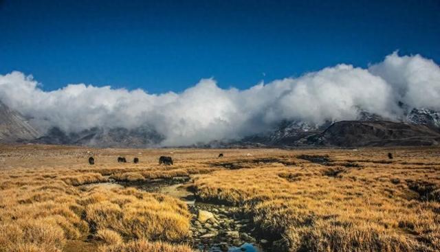 秋日西藏限定美景上线！摄影师私藏机位，拍出无敌风光大片
