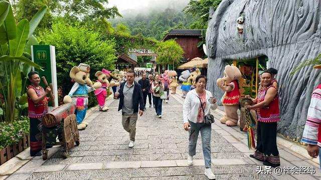 每日一景|西双版纳野象谷风景区