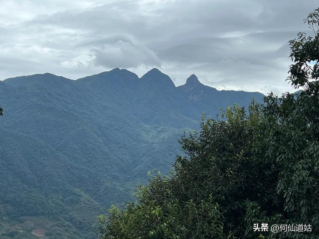 登五指山
