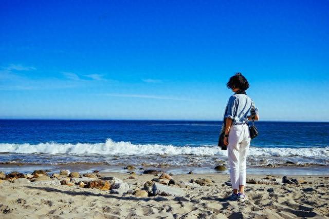 2025年10月29日 第66页