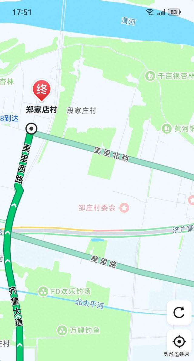 分享你最快捷去黄河千亩银杏林的路线