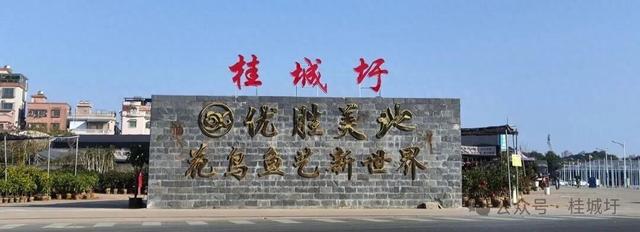 马上就来了！顺德乐从大墩集市的南海桂城版------桂城圩集市！！！