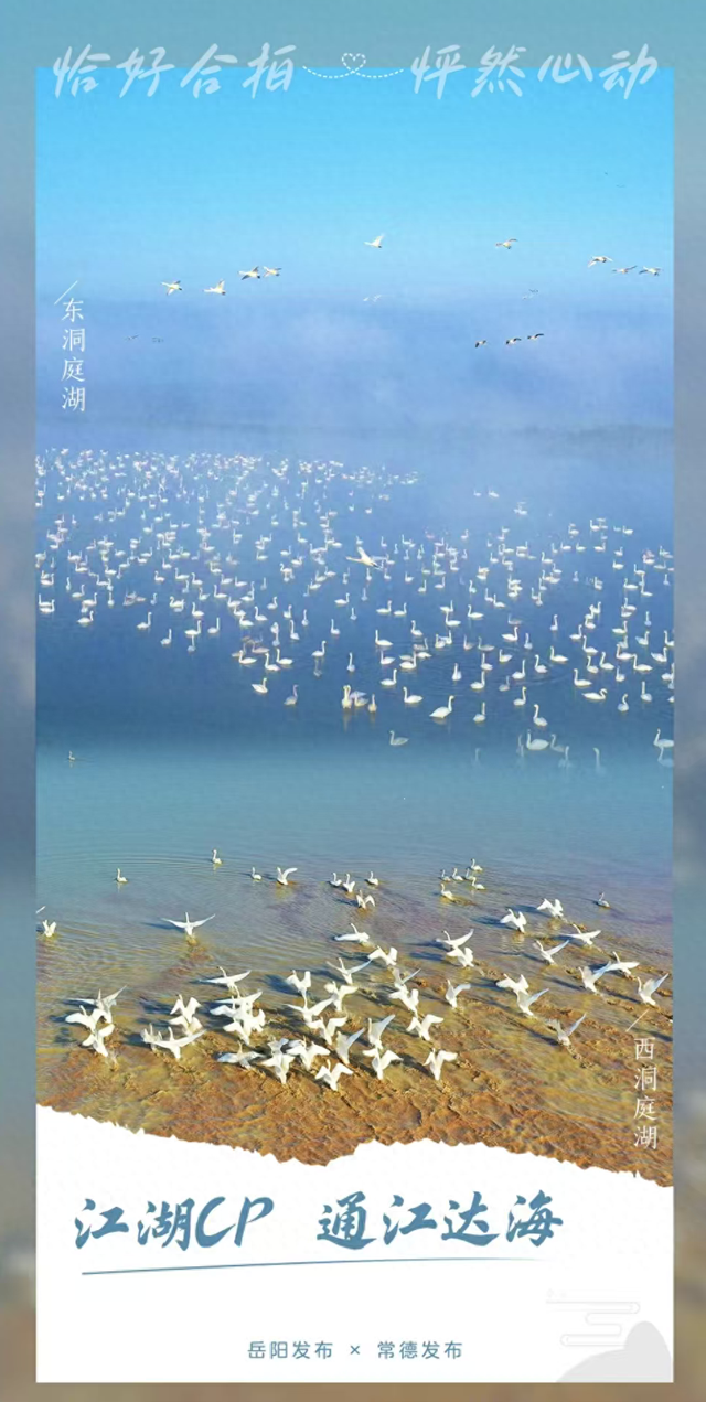 常德&岳阳：江湖CP