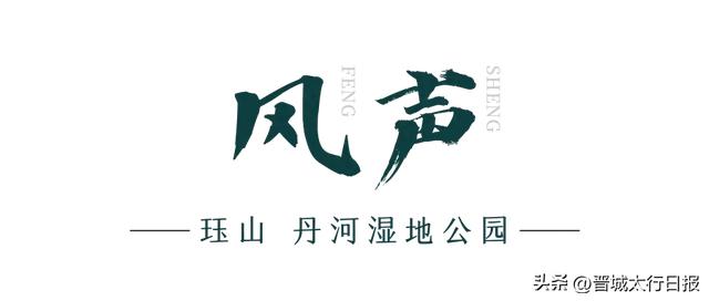 【晋城】嘘！请屏住呼吸，聆听泽州景色里的自然呓语