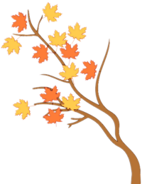 松江秋景开挂！5个宝藏地的红黄皮肤，限时上线！