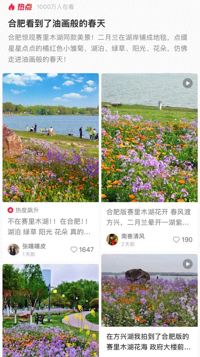 合肥版“赛里木湖”火了！好多人打卡