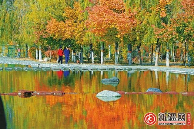 节气里的乌鲁木齐·霜降：霜色与烟火绘就深秋双重奏