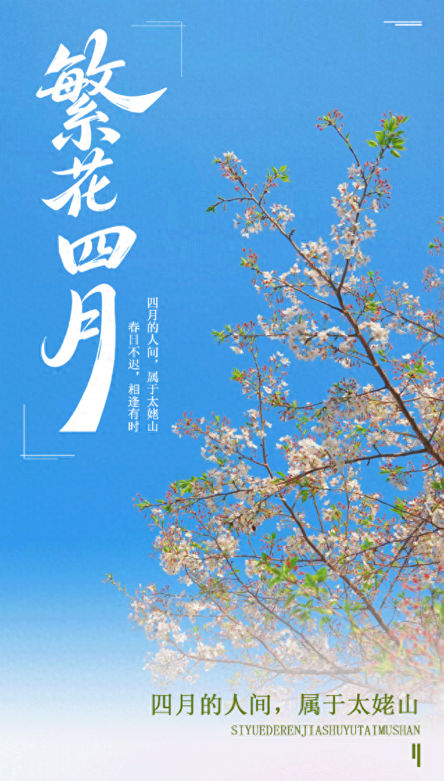 别辜负春天！4月宁德1景区进入颜值巅峰！快来赏花~