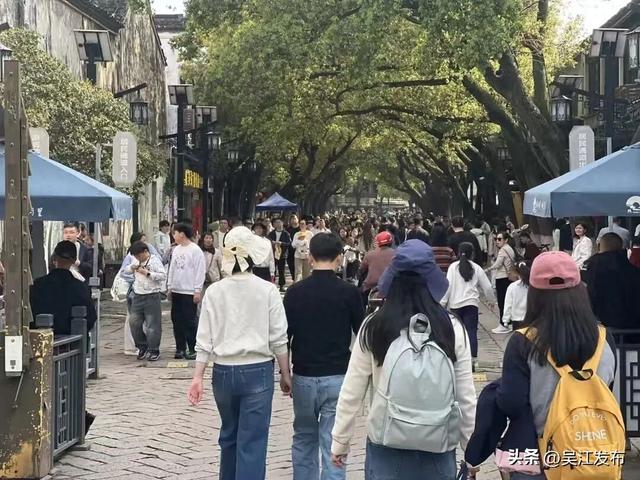 66.32万人次！吴江太“兴”了！