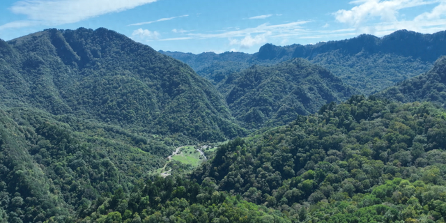 岁月守绿 “森森”不息——探秘甘肃小陇山国家级自然保护区