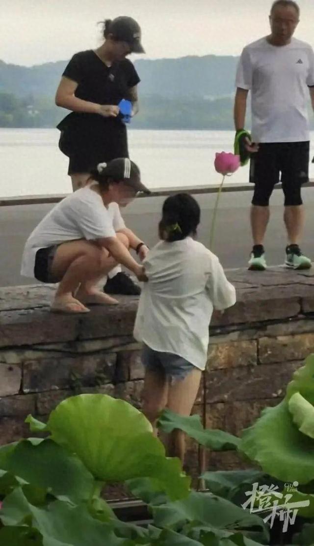 “太没素质了！”女子跳下断桥偷摘荷花，景区：已批评教育，处以罚金