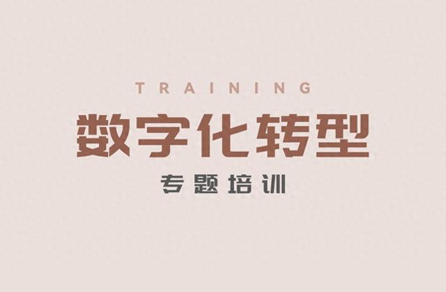 国开联数字化转型培训专家：制造工厂正向数字绿洲迈进