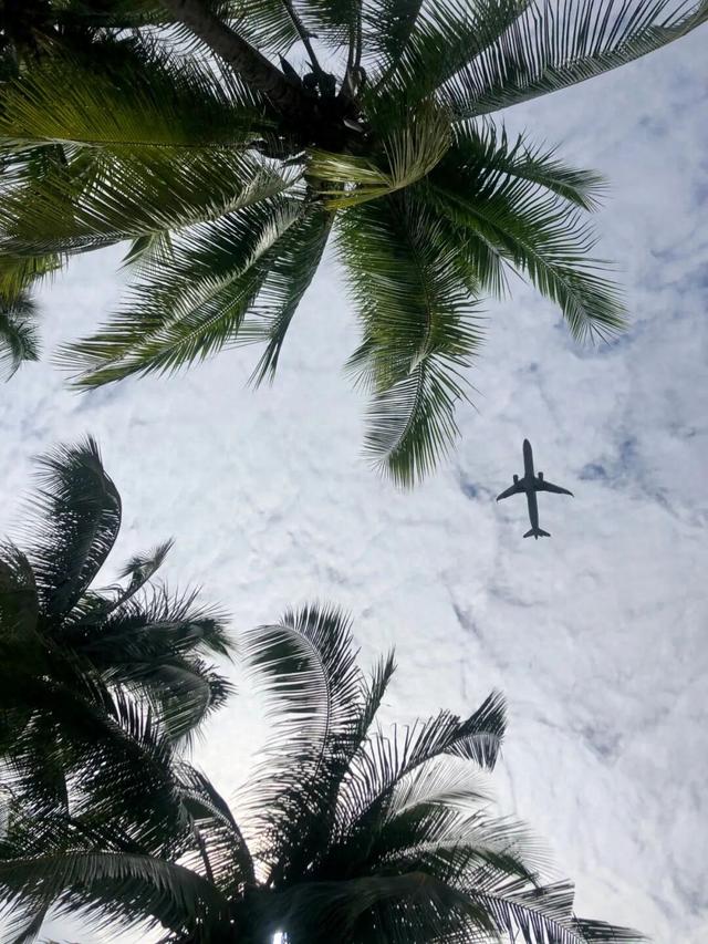 躲避寒冬！跟我一起南下做“候鸟”，体验粤港澳魅力，纵享海南岛热带风情