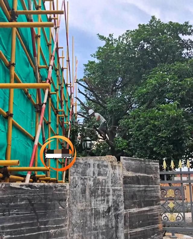 全红婵家的新房终于复工，邻居都开始建二层了，全妈来工地催进度
