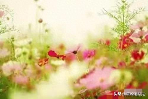 两性关系：55岁女人的大实话，男人过了50岁，只剩下一个“用处”